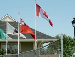 Four flags in the wind Stock Footage