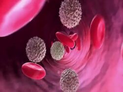 Animation of red blood cells and lymphocytes pumping through blood vessels to camera Stock Footage