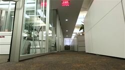 Fired employee walks despondently down office hallway toward camera with box of belongings (dolly shot) Stock Footage