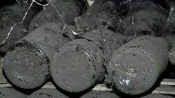 wine collection in the  spiderweb Stock Footage