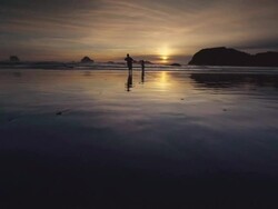 MS SLO MO POV Children and dog playing on beach at sunset / Bandon, Oregon, United States Stock Footage