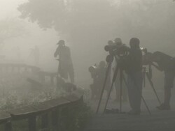 MS Photographers photographing bird on foggy morning / Everglades, Florida, USA Stock Footage