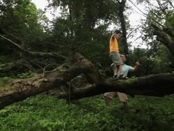 Boy walking on a fallen tree in a forest, Malshej Ghat, Maharashtra, India Stock Footage