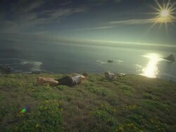 MS PAN SLO MO Couple practicing yoga overlooking Pacific Ocean / Port Orford, Oregon, United States Stock Footage