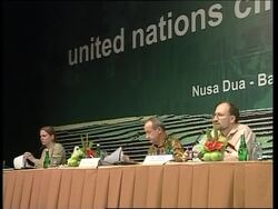 UN official calls for US support ahead of climate change conference News Clip