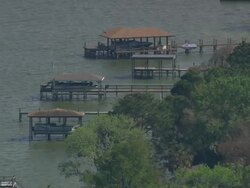 AERIAL WS View of Marshlands near by Lake Harris / Florida, United States Stock Footage