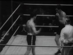 THE AUSTRALIAN SCENE News Clip