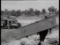 B/W soldiers run with stretcher, carry wounded / helicopter / 1960's / Vietnam / SOUND Stock Footage