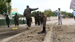 CLEAN: Suicide attack on Somali constituent assembly foiled: police News Clip