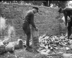 40 YEAR AFTER PROHIBITION News Clip