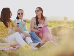 Toast for friendship Stock Footage