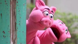 action of pink pig hand puppet Stock Footage