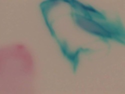 Abstract Fluid Dynamics HD #8 Stock Footage