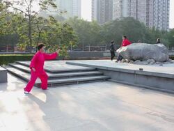 WS Woman performing Tai Chi  in Park/xian,shaanxi,China Stock Footage