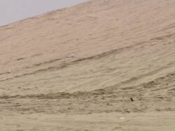 MS Shot of People walking around on the beach / Doha, Qatar  Stock Footage