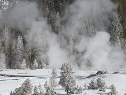 WS Geothermal activity in snowy landscape / Yellowstone National Park, Wyoming, United  Stock Footage