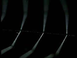 Lace Web Spider (Uloborus) silk threads of orb web and spider, England Stock Footage