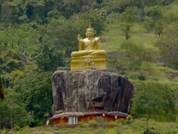 PALM TREE AND LARGE BUDDHA Stock Footage