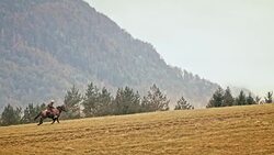 SLO MO Cowboy galloping on his horse up the mountain Stock Footage