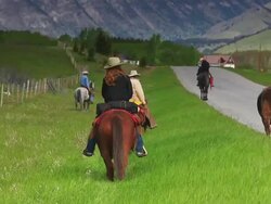 Cowgirls and Cowboys herding cattle into the foothills Stock Footage