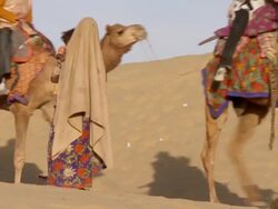  MS Tar dessert with Indian tourists / Sam Sand Dunes, Rajasthan, India Stock Footage