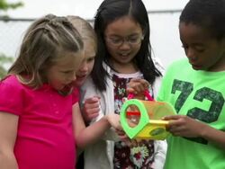 Diverse group of kids looking at bugs in toy cage Stock Footage