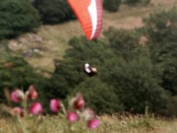 MS PAN R/F SLO MO Shot of paraglider flying above hill tops Stock Footage
