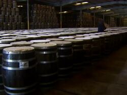 Shot of rows of barrels of tabasco sauce. Stock Footage