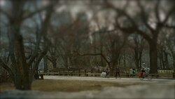 Slow traffic in Central Park New York City spring time Stock Footage