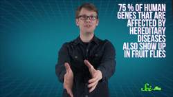 4 Weird Lab Animals Instructional Video