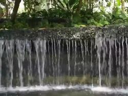 Detail of decorative waterfall in a botanic garden Stock Footage
