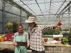 Workers with clipboard talking in plant nursery greenhouse Stock Footage