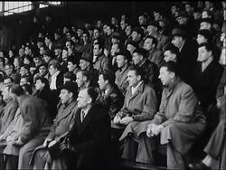 HOLLAND - WHAT'S THE GAME News Clip