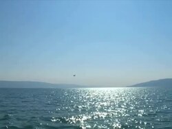 WS Sea with gulls flying above water / Tiberias Upper, Galilee, Israel Stock Footage