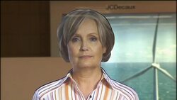 Airport experiments with "virtual" boarding agents News Clip