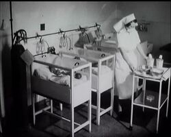 RHODESIA HAPPY EVENT News Clip