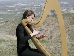 Outdoor Orchestra - Harp Stock Footage