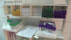 Libya gears up for possible virus outbreak Instructional Video