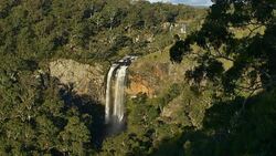 Ebor Falls, NSW, Australia Stock Footage