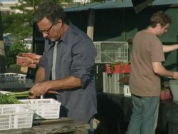 MS PAN Volunteers packing and weighing vegetables / Chicago, IL, United States Stock Footage