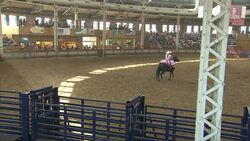 Crowds watch Mexican drill riding display News Clip