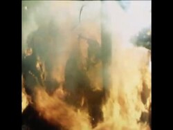 SYND 10 2 79 FIGHTING ON STREETS OF TEHRAN, SOLDIERS KILLED News Clip