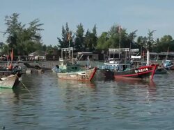 BOAT POV WS Traditional Fishing Boats Floating in Water / Vietnam Stock Footage