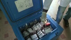 CLEAN : Bamako Malians and foreigners give blood News Clip