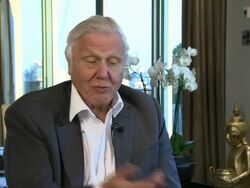 INTERVIEW: Sir David Attenborough on being asked to wear a different coloured shirt for filming at Sir David Attenborough Interview at Mayfair Exchange on December 11, 2012 in London, England.  Stock Footage