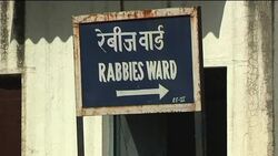 Tackling India''''s rabies epidemic News Clip