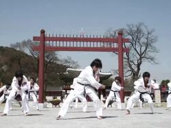 WS PAN  Korean Martial arts group performing taekwondo  / Kyungkido, Bucheon, South Korea Stock Footage
