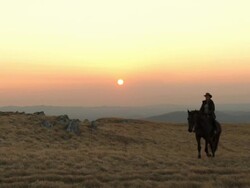 HD: Cowgirl Riding Through Prairie At Sunset Stock Footage