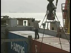 HONG KONG: ILLEGAL IMMIGRANTS: SECURITY News Clip