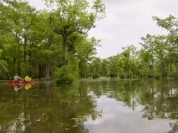WS POV Shot of two men's paddling boat in long swampy river / Manteo, North Carolina, United states Stock Footage